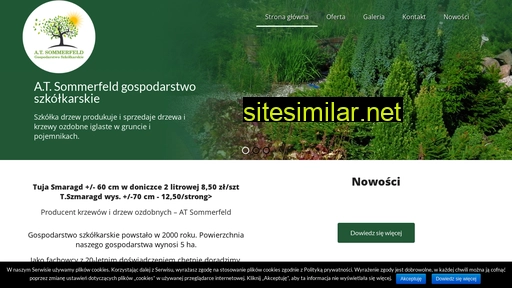 atsommerfeld.pl alternative sites