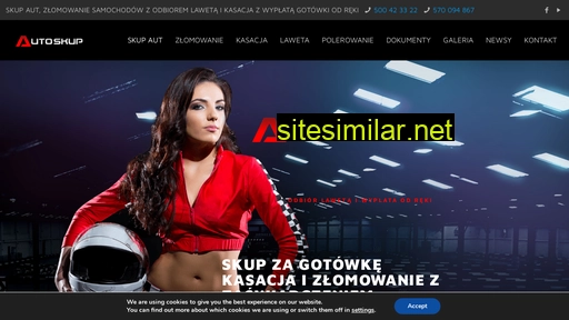 auto-skup24h.pl alternative sites