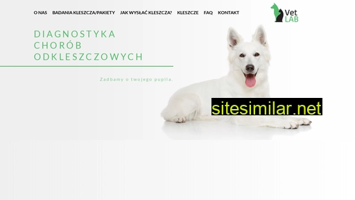 badamykleszcze.pl alternative sites