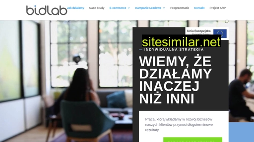 bidlab.pl alternative sites