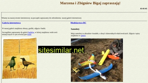 bigaj.com.pl alternative sites