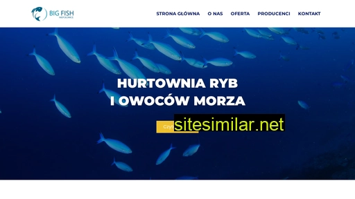 bigfish.pl alternative sites