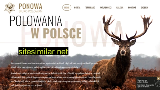 biuroponowa.pl alternative sites