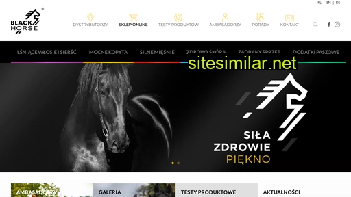 blackhorse.org.pl alternative sites
