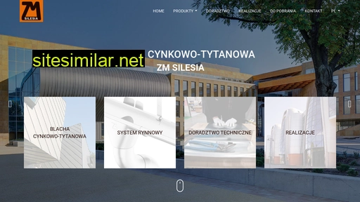 blachasilesia.pl alternative sites