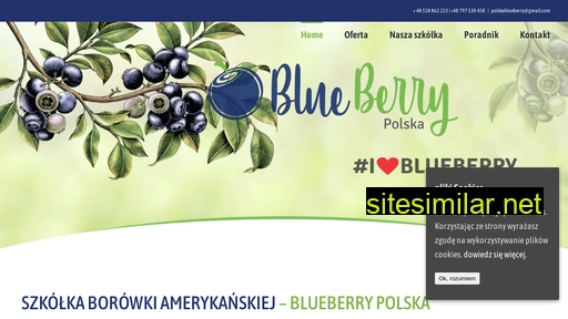 Blueberrypolska similar sites