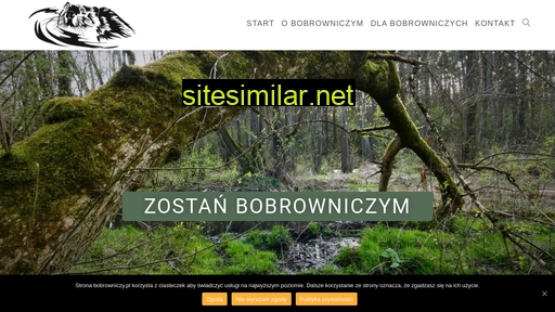 bobrowniczy.pl alternative sites