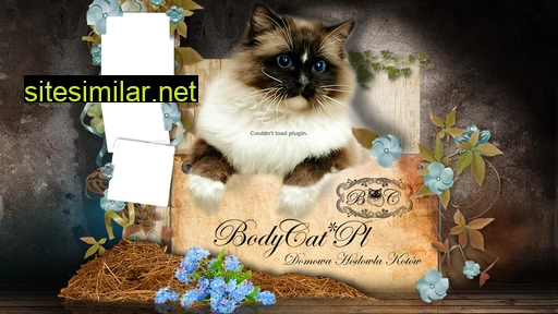 bodycat.pl alternative sites