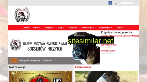 bokseryniczyje.pl alternative sites