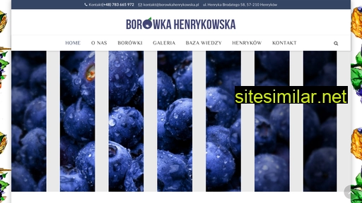 borowkahenrykowska.pl alternative sites