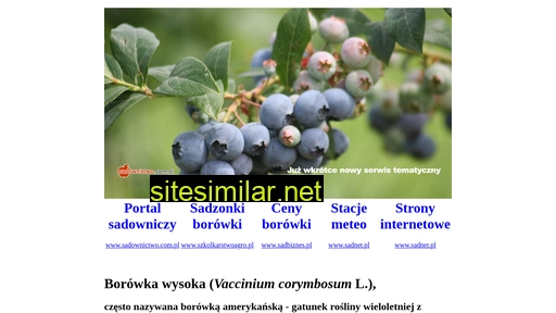 borowkawysoka.com.pl alternative sites