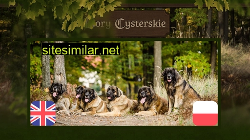 Bory-cysterskie similar sites