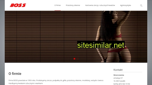 boss.suwalki.pl alternative sites