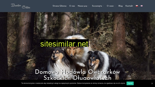 branlico.pl alternative sites