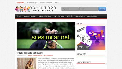 brightb2b.pl alternative sites