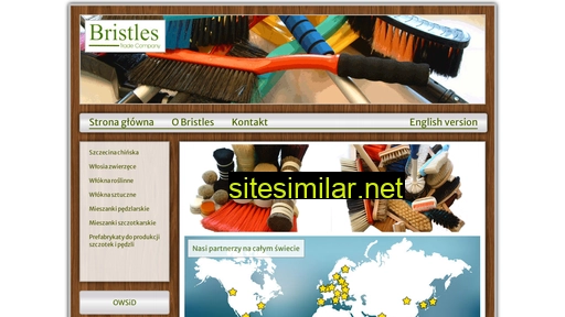 bristles.com.pl alternative sites