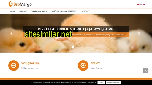 bromargo.pl alternative sites