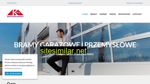 brudnowski.pl alternative sites