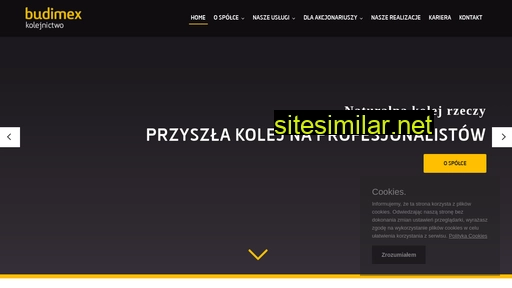 budimex-kolejnictwo.pl alternative sites
