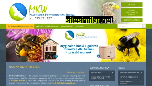 budkadlatrzmiela.pl alternative sites