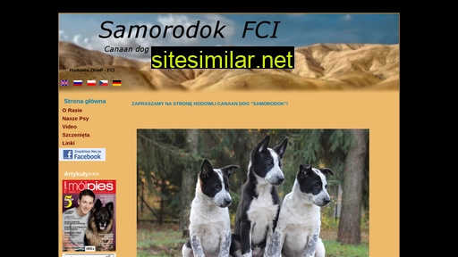 Canaan-dog similar sites