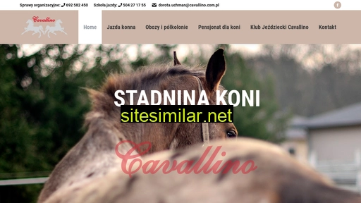 cavallino.com.pl alternative sites