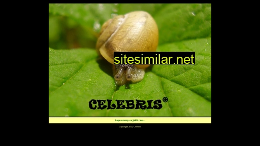 celebris.pl alternative sites