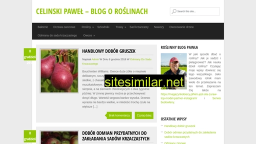 celinski.com.pl alternative sites