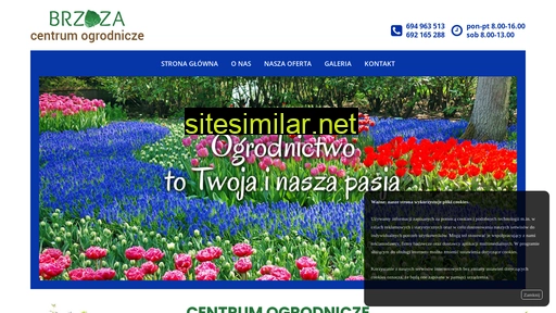 centrumbrzoza.pl alternative sites