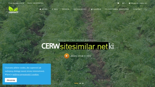 cerwit.pl alternative sites