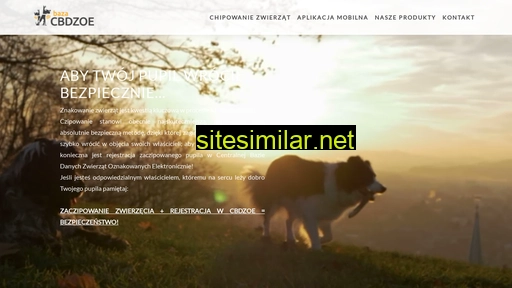 chip-dla-psa.pl alternative sites