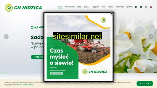 cnnidzica.pl alternative sites