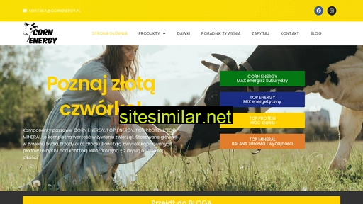 cornenergy.pl alternative sites