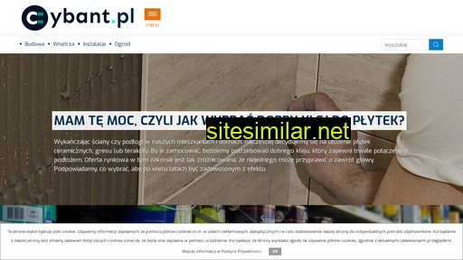 cybant.pl alternative sites