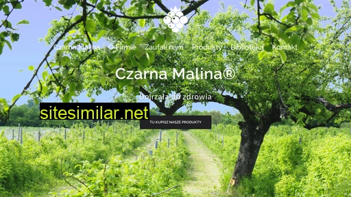 czarnamalina.pl alternative sites