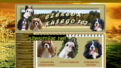 czereda.com.pl alternative sites