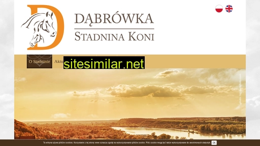 dabrowka-arabians.pl alternative sites