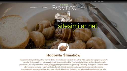 decoroom.com.pl alternative sites