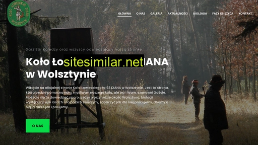 dianawolsztyn.pl alternative sites