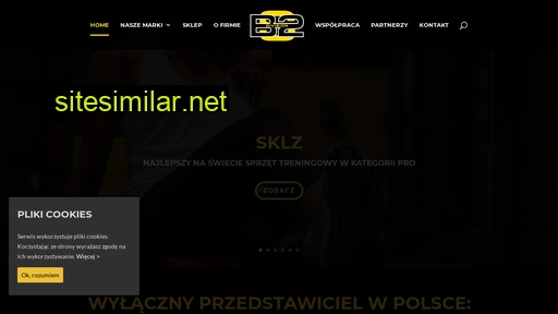 division-b2.com.pl alternative sites