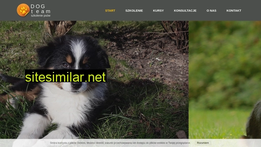 dog-team.pl alternative sites