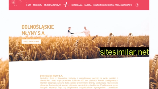 dolnoslaskiemlyny.pl alternative sites