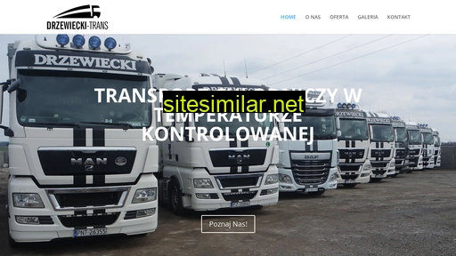 drzewiecki-trans.pl alternative sites