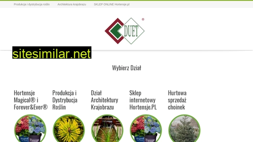 duetsj.com.pl alternative sites