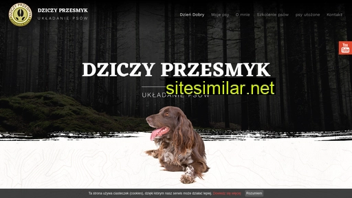 dziczy-przesmyk.pl alternative sites