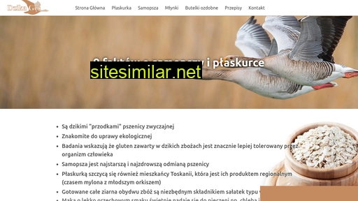 dzikages.pl alternative sites