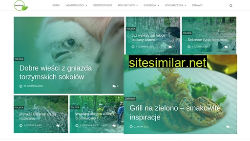 eko-group.pl alternative sites