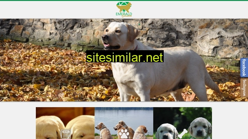 emeraldgarden.pl alternative sites