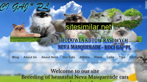en.kocigaj.pl alternative sites