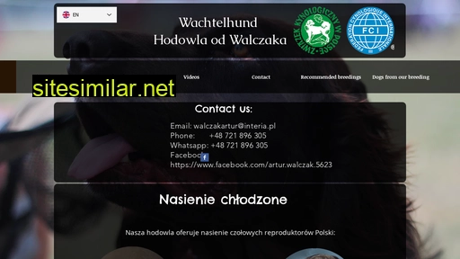 en.odwalczaka.pl alternative sites